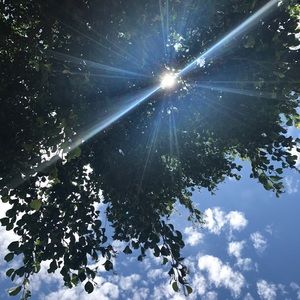 Meet your Posher, Argelia